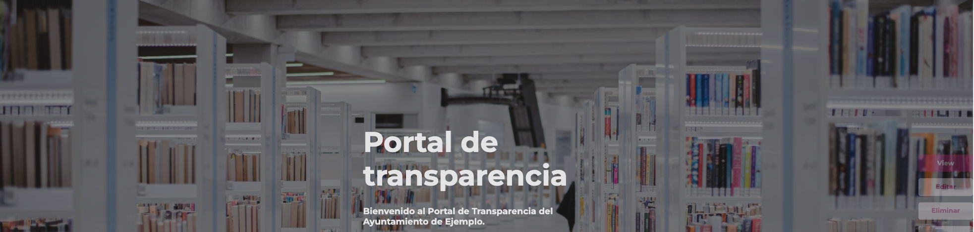 Portal de Transparencia - Vista general
